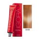 Schwarzkopf Igora Royal hajfesték 8-55